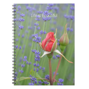 Carnet Roses Lavande Floral (ma photographie)