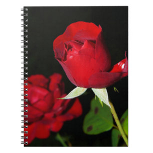 Carnet Roses rouges