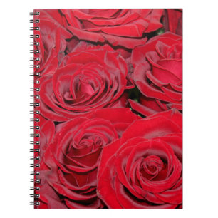 Carnet Roses rouges vibrantes