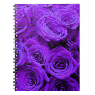 Carnet roses violet romantique, joli bouquet de rose