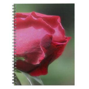Carnet Rouge Rosebud Flower Nature