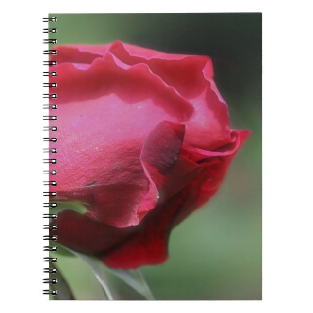 Carnet Rouge Rosebud Flower Nature (Devant)