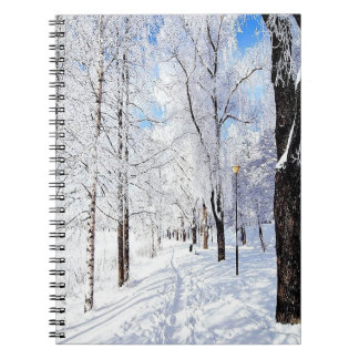 Carnet Route de neige