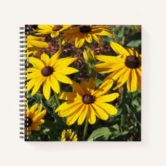 Carnet Rudbeckia