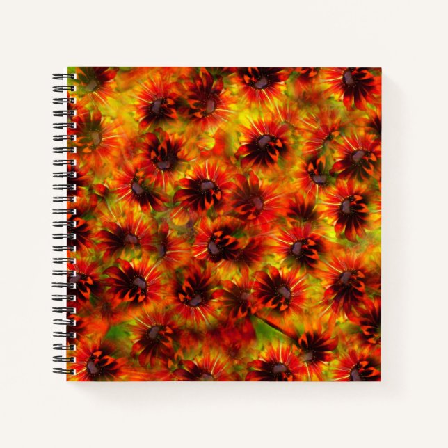 Carnet Rudbeckias Galore (Devant)