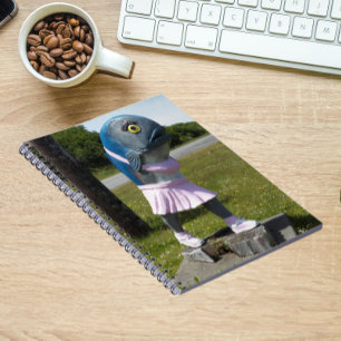 Carnet Rue Attraction Fish Girl Statue