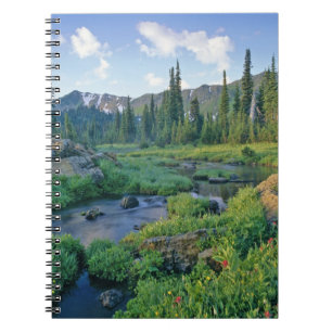 Carnet Ruisseau Picnic dans le Jewel Basin de Swan