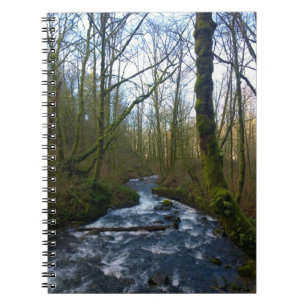 Carnet Runoff from Bridal Veil Falls