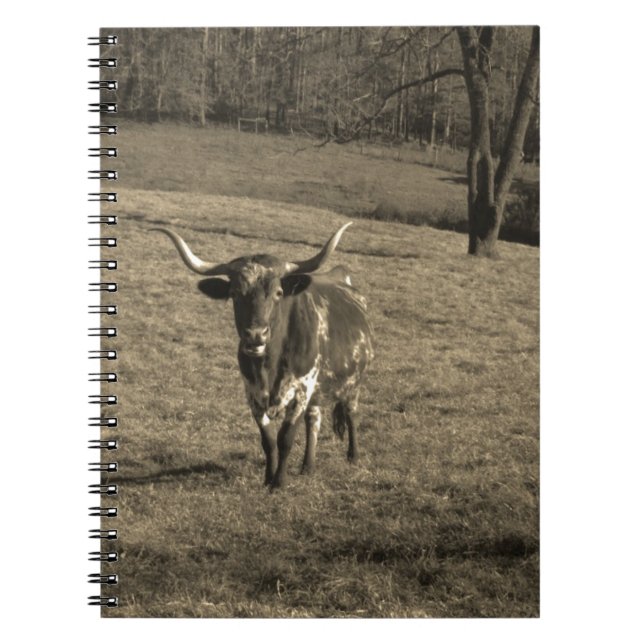 Carnet Rustic Texas Longhorn élevage de taureau vache (Devant)