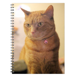Carnet Sac à ficelle de chat