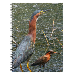 Carnet Sac réutilisable pour épicerie Green Heron