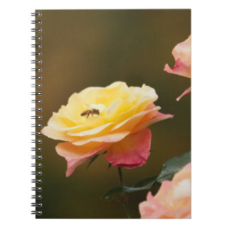Carnet Sac Rose et Abeille