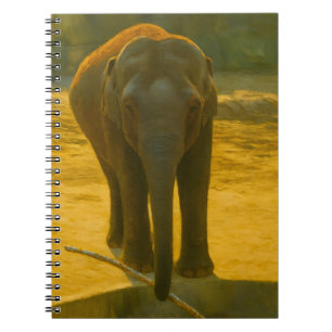 Carnet Sagesse des éléphants d'or - faune majestueuse