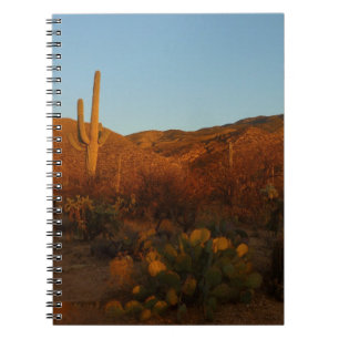 Carnet Saguaro Sunset I Arizona Désert Paysage