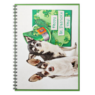 Carnet Saint Patrick's Day Chihuahua's