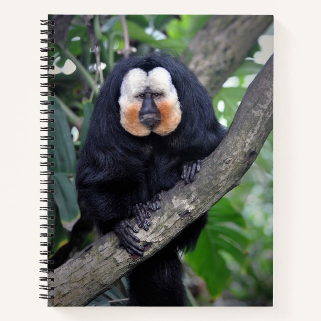 Carnet Saki (Devant)