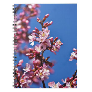 Carnet Sakura Cerry Blossoms Touché Bleu