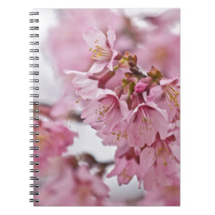 Carnet Sakura Cherry Blossoms rose pâle