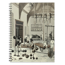 Carnet Salle De Sport Victorienne