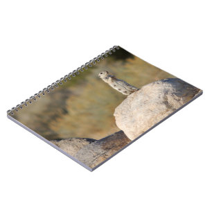 Carnet Salutations amicales