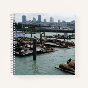 Carnet San Francisco et Pier 39 Sea Lions City Skyline