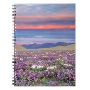 Carnet Sand Verbena et fleurs sauvages de Dune Primrose a