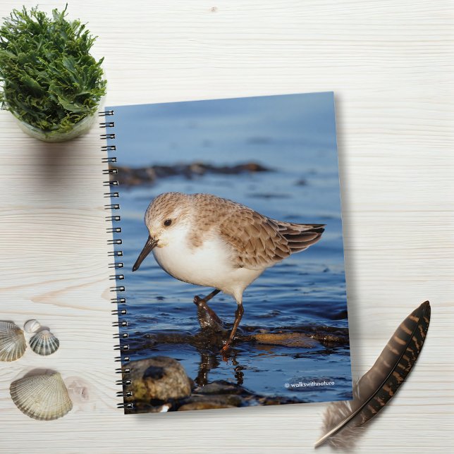 Carnet Sanderling errant (Wandering Sanderling on the Beach Journal Cover Photo)