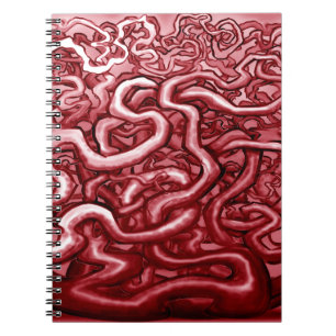 Carnet Sang et intestins