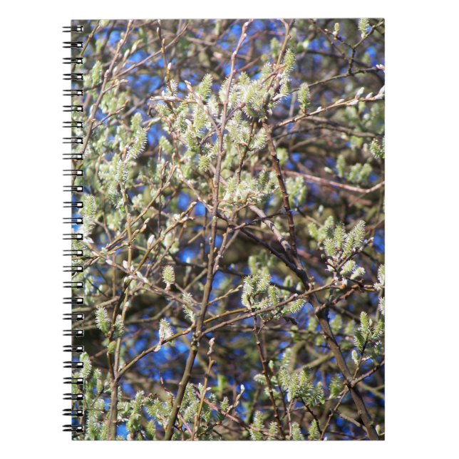 CARNET SAULE DE PRINTEMPS (Devant)