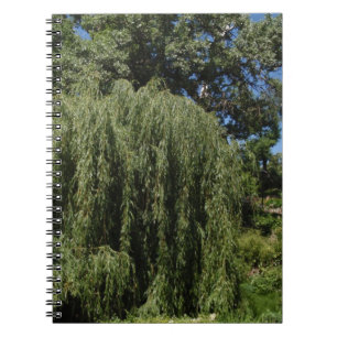 Carnet Saule pleurant