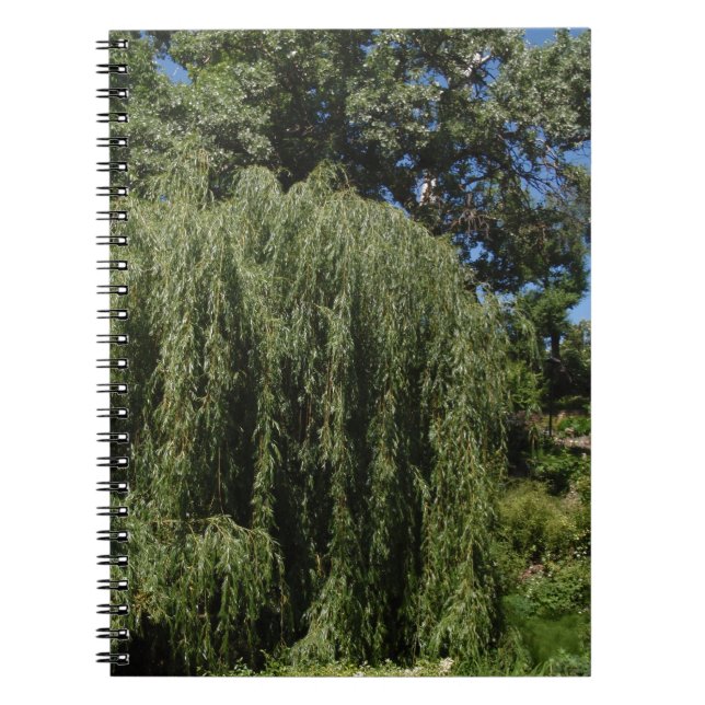 Carnet Saule pleurant (Devant)