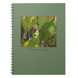 Carnet sauvage de raisins de mer de la Floride