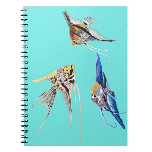 Carnet Scalar fish (Devant)