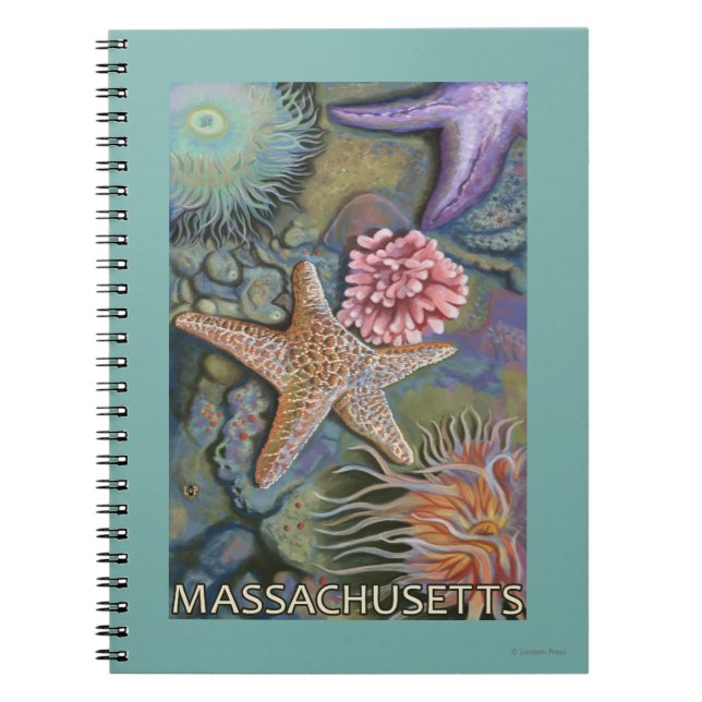 Carnet Scène MassachusettsTidepool (Devant)