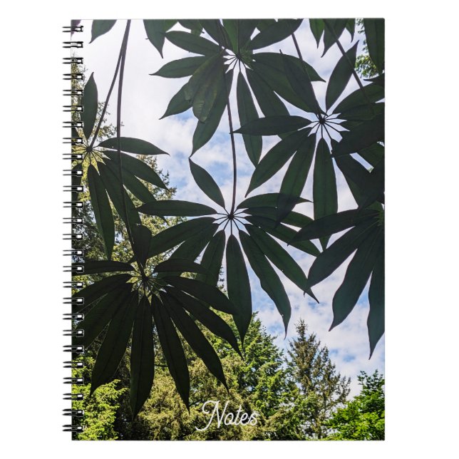 Carnet Schefflera Plante Feuilles Floral (Devant)