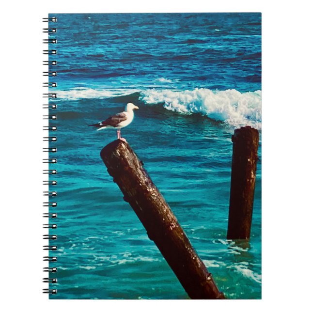 Carnet Sea Bird (Devant)