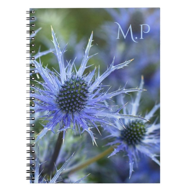 Carnet Sea Holly Thistle Monogram (Devant)