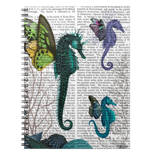 Carnet Seahorse Trio Avec Ailes (Devant)