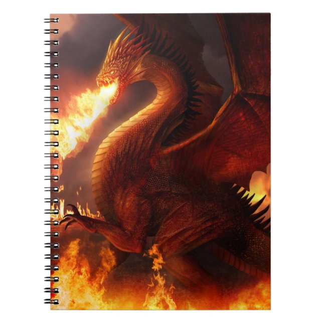 Carnet Seigneur des dragons (Devant)