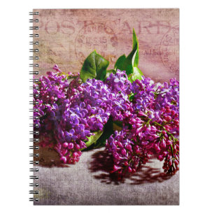 Carnet Sent du ciel