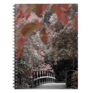 Carnet Sentier du pont dans la photographie de la nature