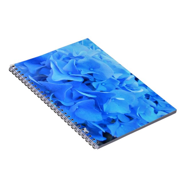 Carnet Sérapine (Côté Droit)