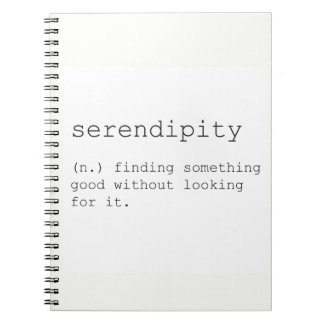 Carnet Serendipity notebook