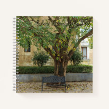 Série Li Garden : Échos sous l'arbre