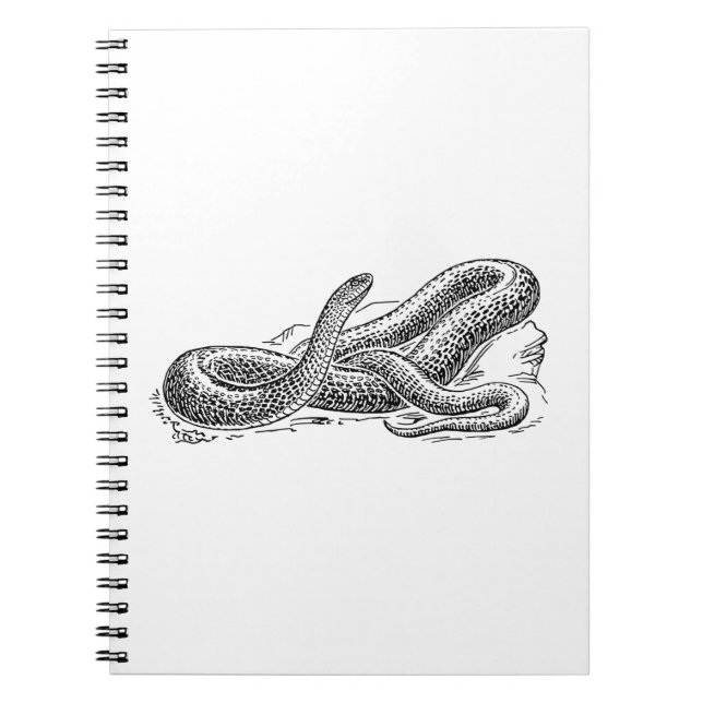 Carnet Serpent (Devant)