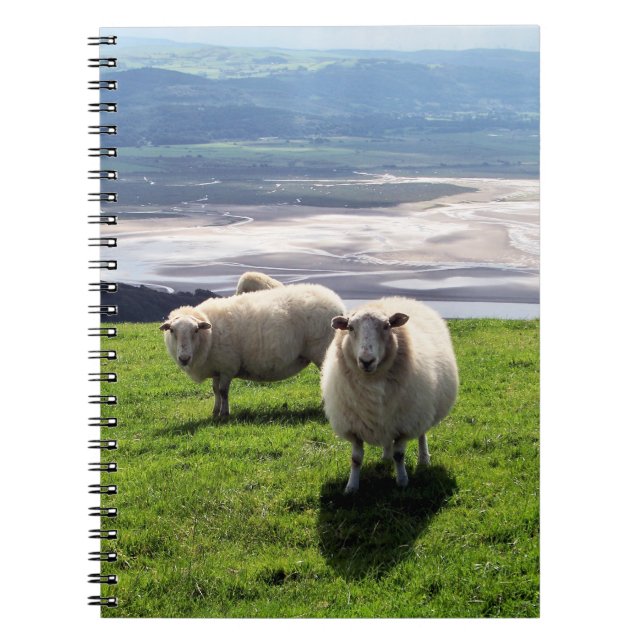 CARNET SHEEP DE MONTAGNE BIEN-ÊTRE (Devant)