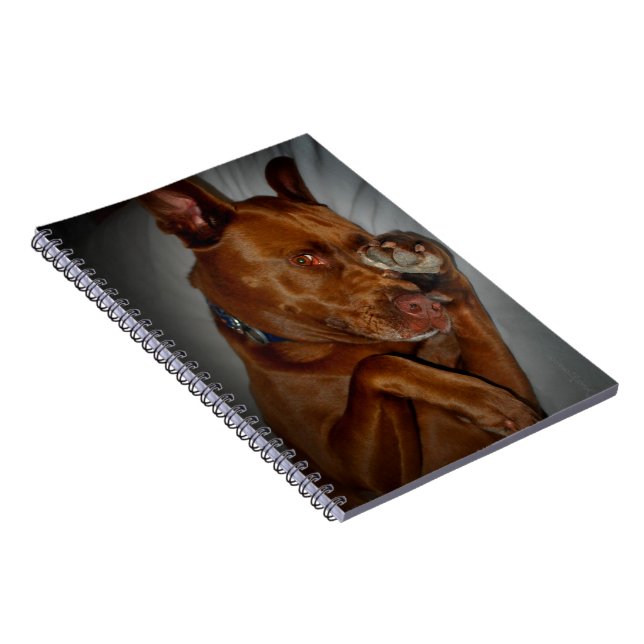 Carnet Shop Chocolate Lab Pit Mix Chien (Côté Droit)
