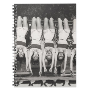 Carnet Showgirls sur les bars à singes, design ludique.