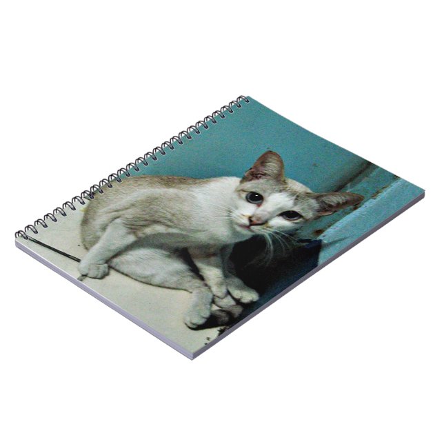 Carnet Siamese Chat Friend (Côté gauche)