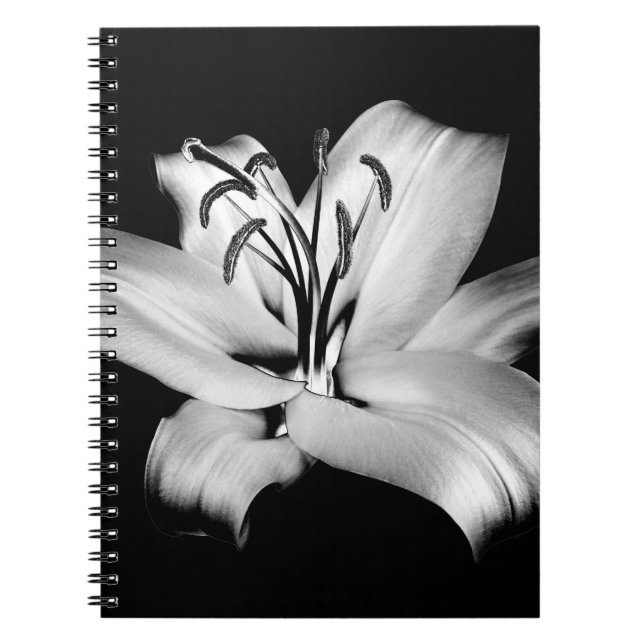 Carnet Silver Lily : Élégance Florale Monochrome. (Devant)